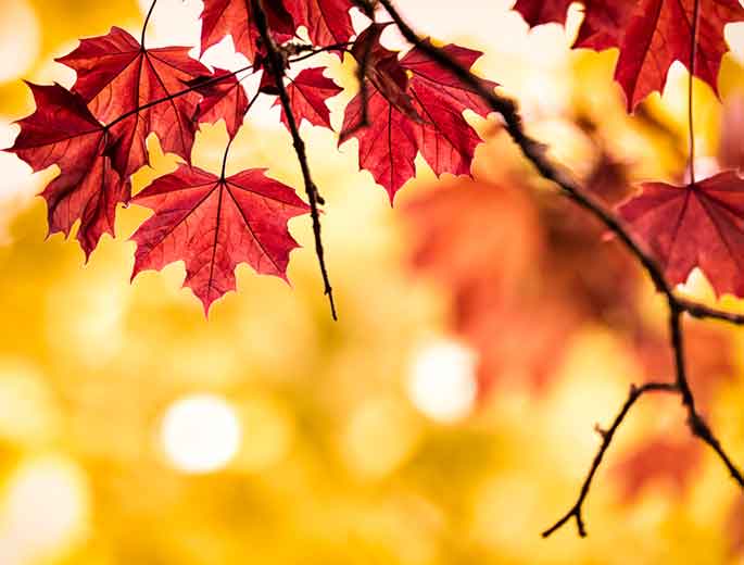 Zahnarztpraxis Dr. Skupin und Partner | Zahnarztpraxis Dr. Skupin und